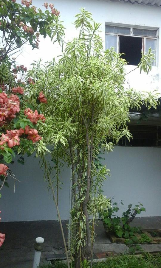 Pousada Ana Poipa Goiania Ngoại thất bức ảnh